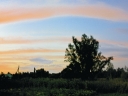 fotopechat-23